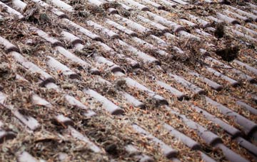 Redlane roof cleaning companies