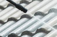 rated Redlane roof cleaning companies